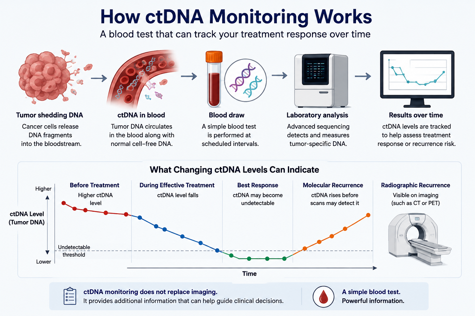 ctDNA monitoring infographic showing tumor DNA entering the bloodstream, blood testing, laboratory analysis, and changing ctDNA levels during treatment and recurrence.