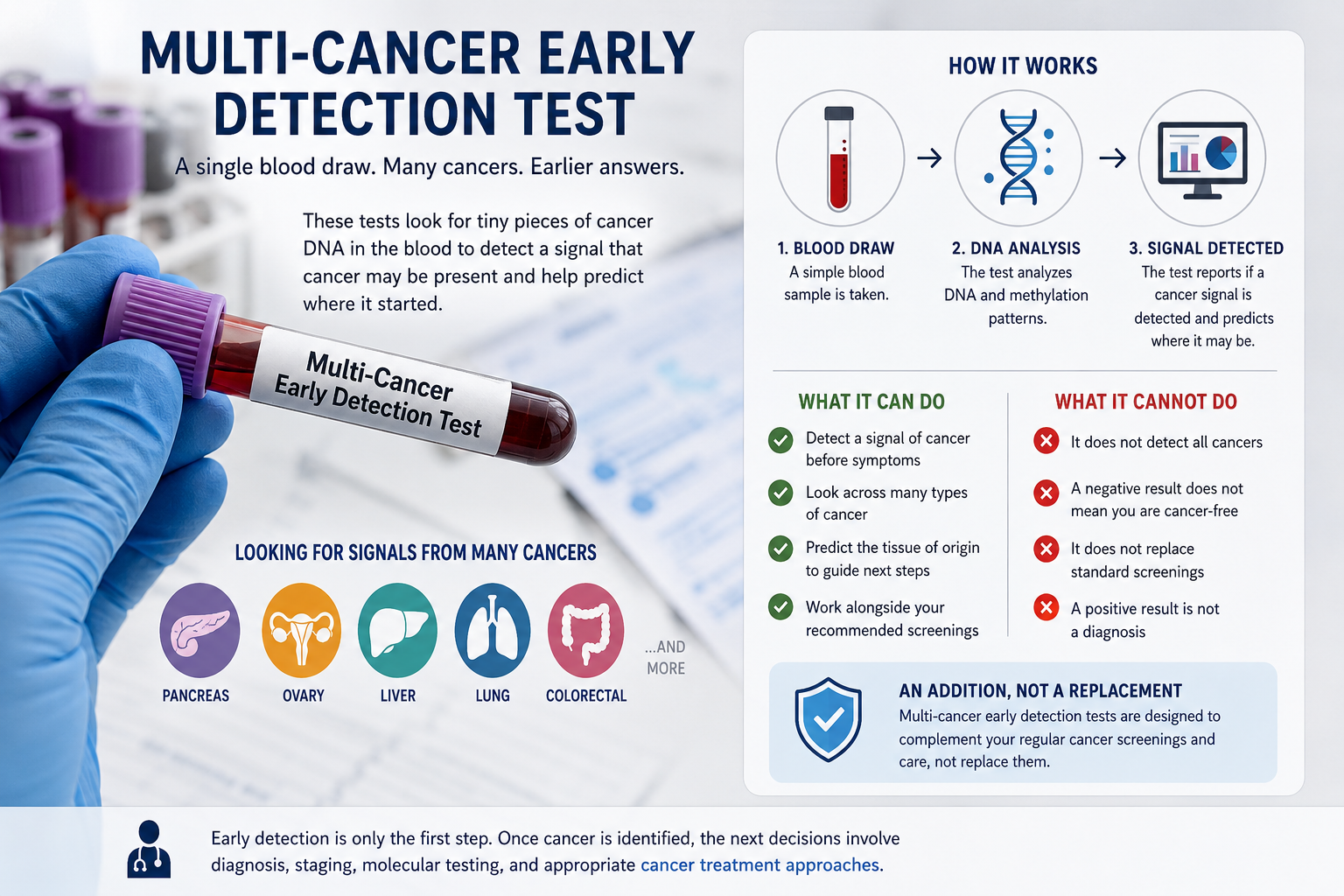Multi cancer early detection test showing a blood draw, DNA and methylation analysis, cancer signal detection, and examples of cancers the test may identify.